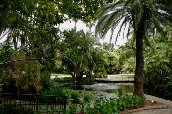 Botanischer Garten in Brisbane