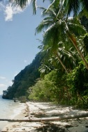 Palmengesäumter Strand auf Palawan